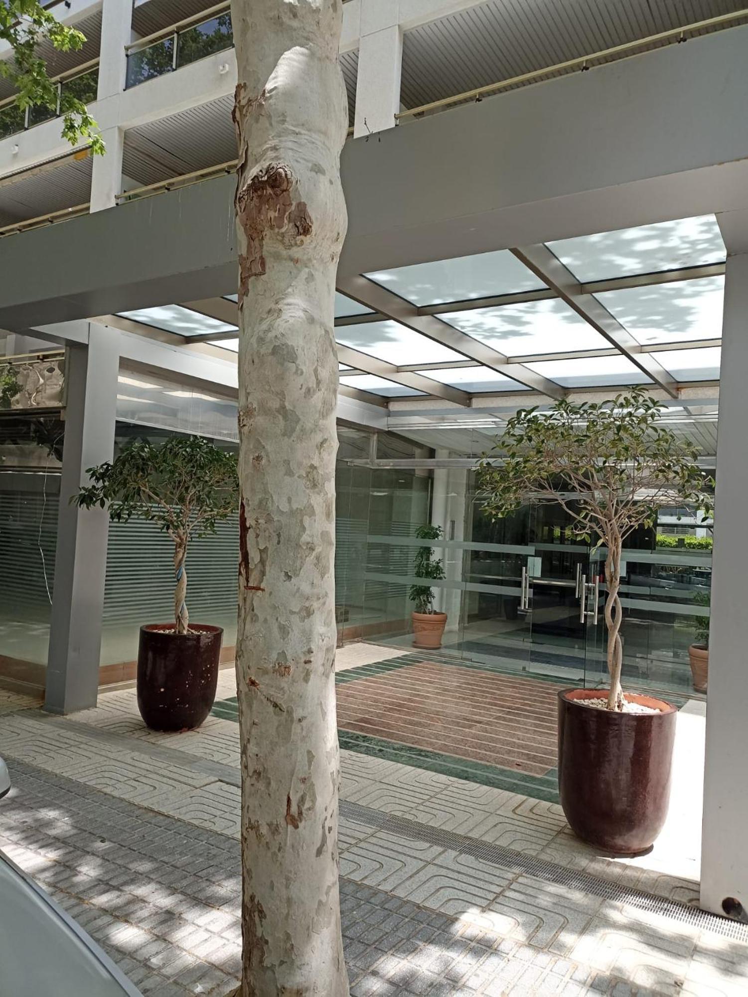 Michelangelo Apartment Salou Ngoại thất bức ảnh